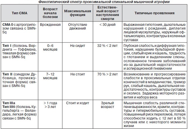 Виды СМА