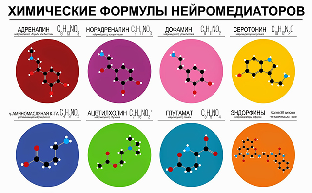 Формулы нейромедиаторов