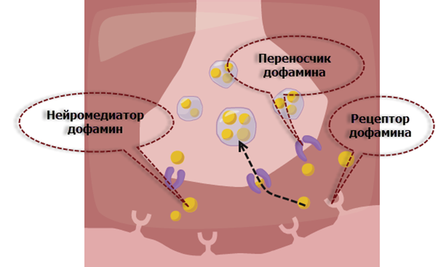 Как работают медиаторы